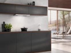 Discount Miele Das 4620 Inox