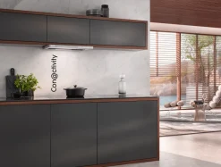 Discount Miele Das 4620 Inox