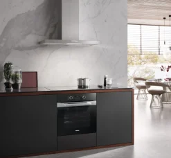 Best Miele Daw 1920 Active Inox