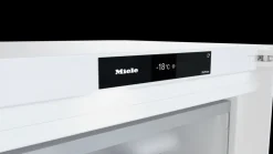Best Miele Fn 4879 C Blanc