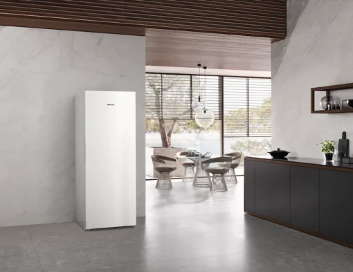 Best Miele Fn 4879 C Blanc