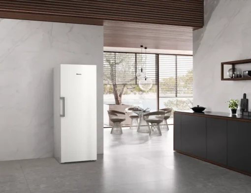 Online Miele Fn 4778 D Blanc