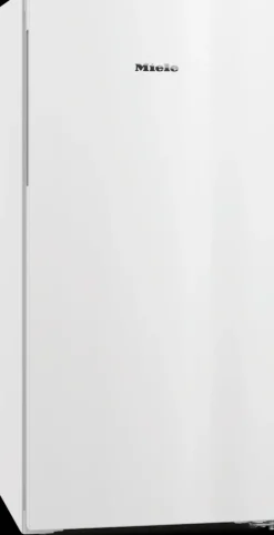 Sale Miele Fn 4312 E Blanc