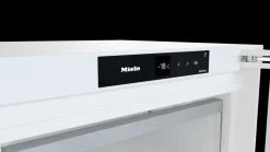 Miele Fn 4742 E Blanc