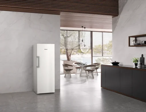 Miele Fn 4742 E Blanc