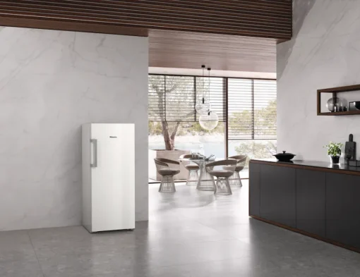 Best Miele Fn 4722 E Blanc